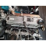 Дизельный погрузчик Baoli KBD 35 en 25, год 2019 - 3B8AEF12