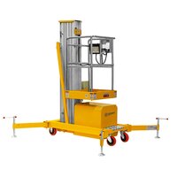 Подъемник одномачтовый GTWY 6-100 (AC&DC; 125 кг; 6 м) SMARTLIFT (SMART) фото 2